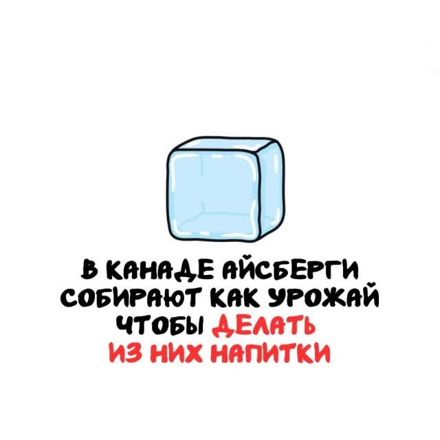 Интересные факты на все случаи жизни