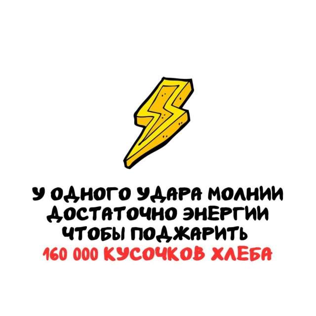 Интересные факты на все случаи жизни