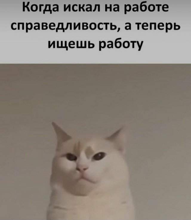 Лучшие шутки и мемы из Сети - 16.08.2025 Лучшие шутки и мемы из Сети - 16.08.2025
