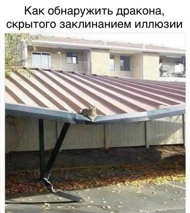 Лучшие шутки и мемы из Сети - 16.08.2025 Лучшие шутки и мемы из Сети - 16.08.2025