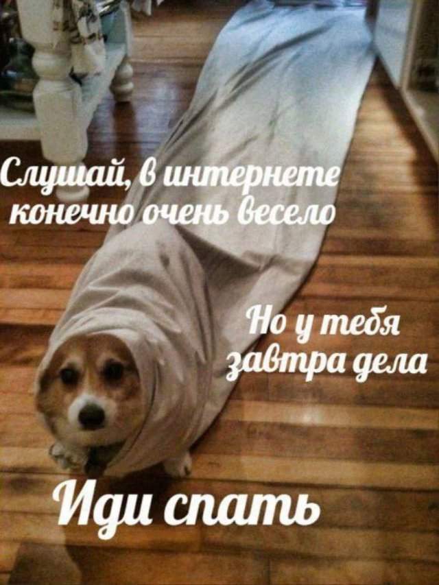 Лучшие шутки и мемы из Сети - 16.08.2025 Лучшие шутки и мемы из Сети - 16.08.2025