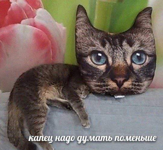 Лучшие шутки и мемы из Сети - 16.08.2025 Лучшие шутки и мемы из Сети - 16.08.2025