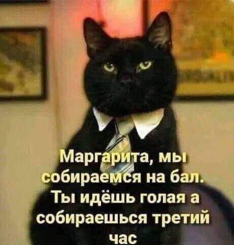 Лучшие шутки и мемы из Сети - 16.08.2025 Лучшие шутки и мемы из Сети - 16.08.2025