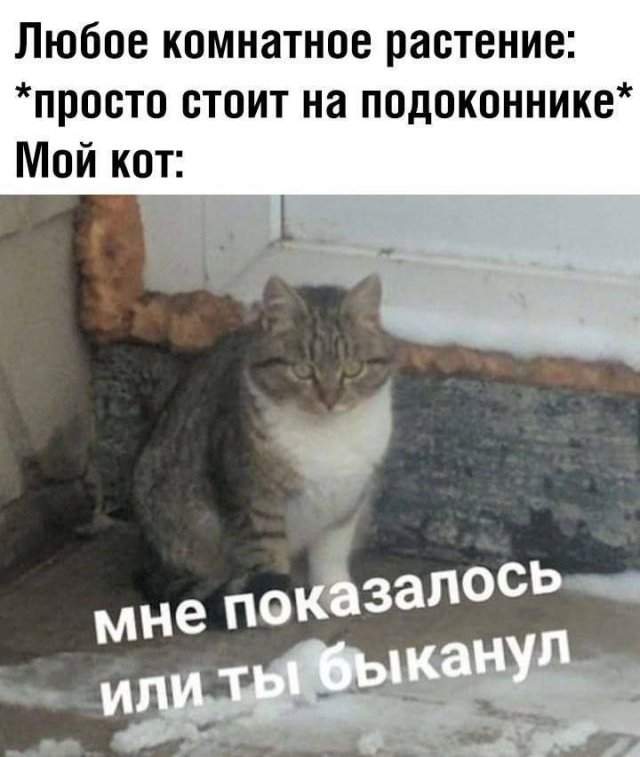 Смешные мемы - 18.08.2025 Смешные мемы - 18.08.2025