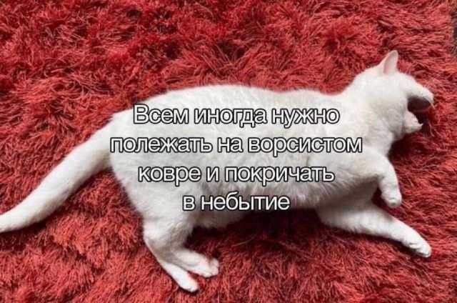 Смешные картинки - 18.08.2025 Смешные картинки - 18.08.2025