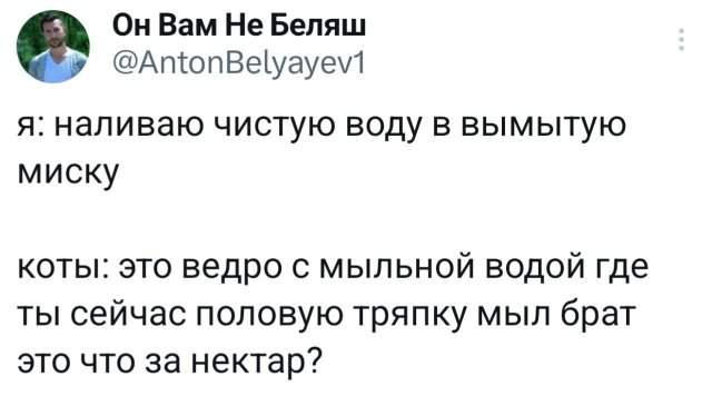 Смешные картинки - 18.08.2025 Смешные картинки - 18.08.2025