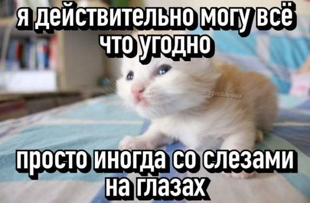 Смешные картинки - 18.08.2025 Смешные картинки - 18.08.2025