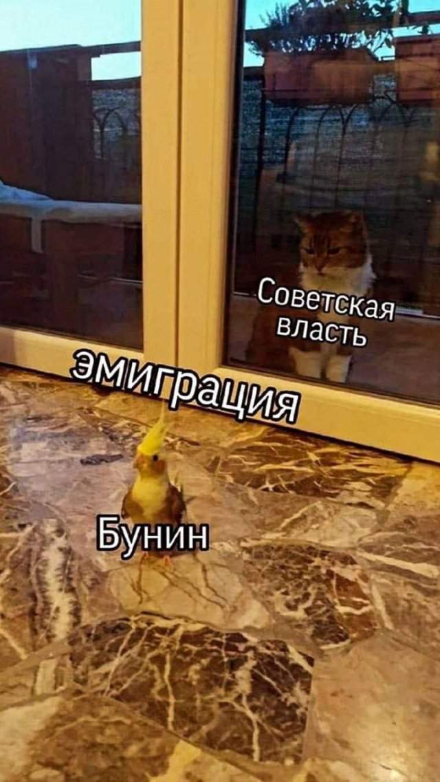 Смешные картинки - 18.08.2025 Смешные картинки - 18.08.2025