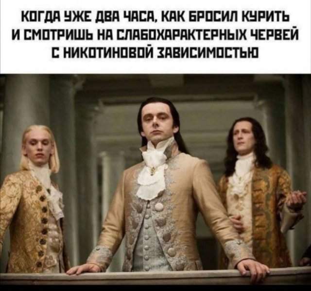 Лучшие шутки и мемы из Сети - 18.08.2025 Лучшие шутки и мемы из Сети - 18.08.2025