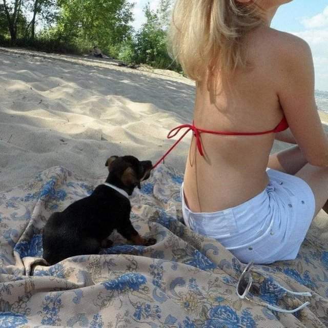 Лучшие шутки и мемы из Сети - 18.08.2025 Лучшие шутки и мемы из Сети - 18.08.2025