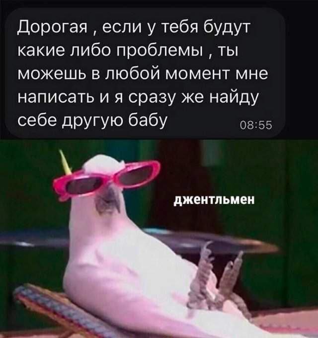 Лучшие шутки и мемы из Сети - 18.08.2025 Лучшие шутки и мемы из Сети - 18.08.2025
