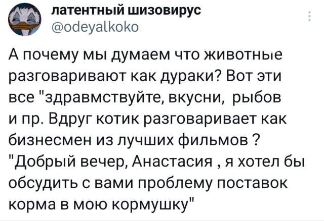 Подборка забавных твитов обо всем Подборка забавных твитов обо всем