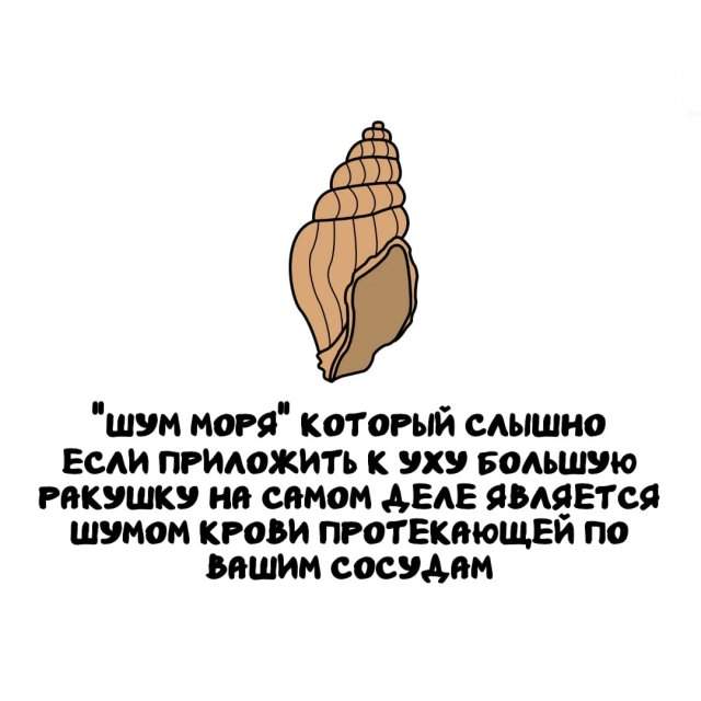 Интересные факты на все случаи жизни