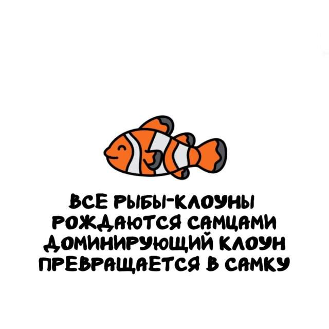 Интересные факты на все случаи жизни