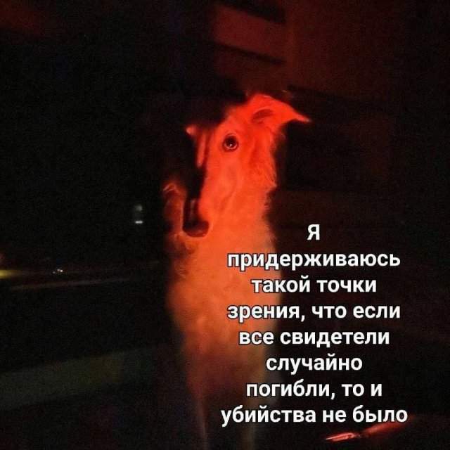 Смешные картинки - 19.08.2025 Смешные картинки - 19.08.2025