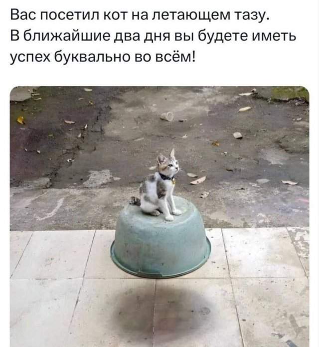Смешные картинки - 19.08.2025 Смешные картинки - 19.08.2025