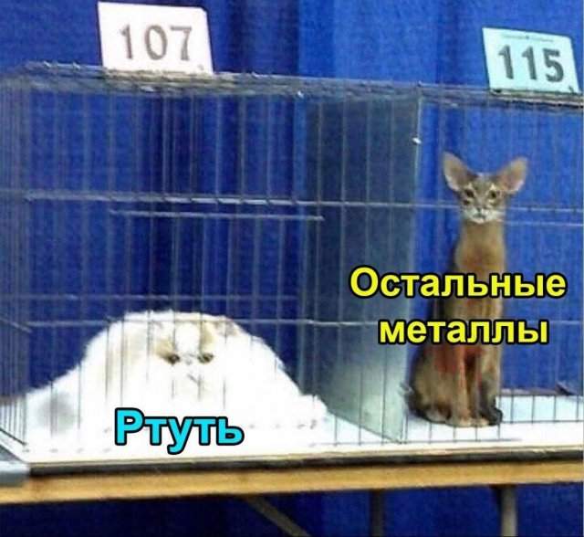 Смешные картинки - 19.08.2025 Смешные картинки - 19.08.2025