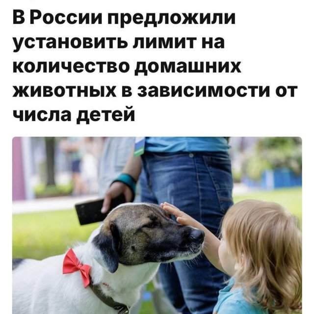 Подборка картинок. Вечерний выпуск - 19.08.2025