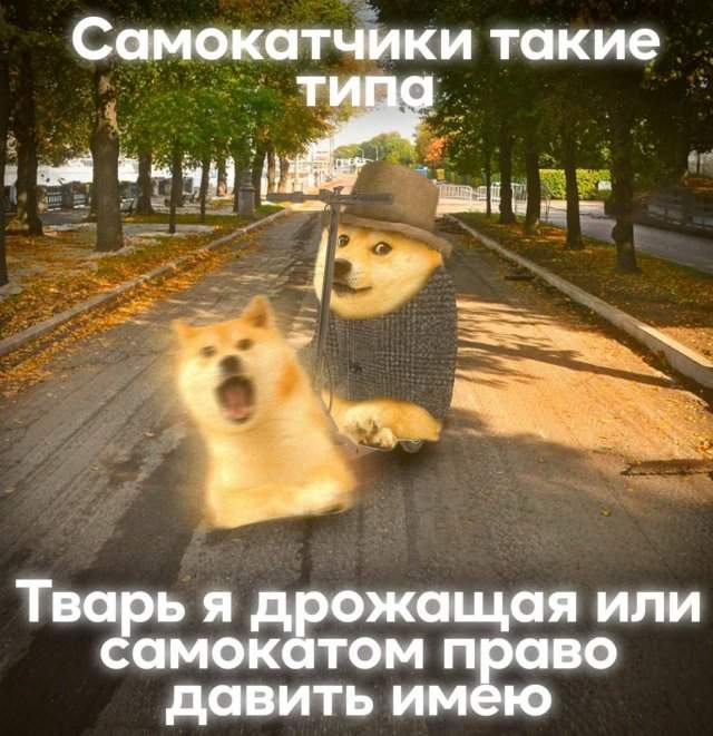 Подборка картинок. Вечерний выпуск - 19.08.2025 Подборка картинок. Вечерний выпуск - 19.08.2025