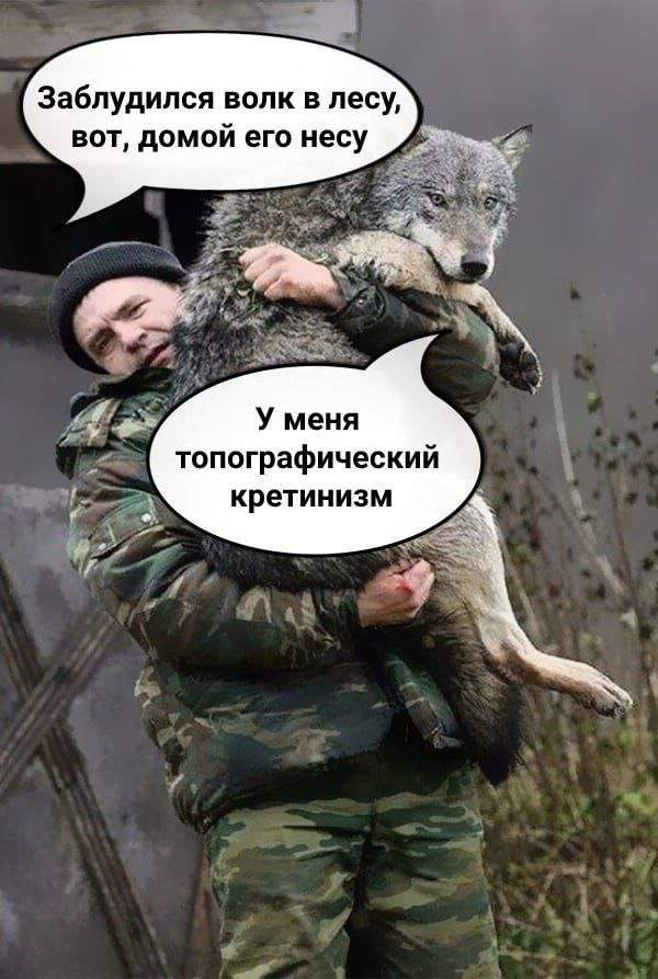 Лучшие шутки и мемы из Сети - 19.08.2025