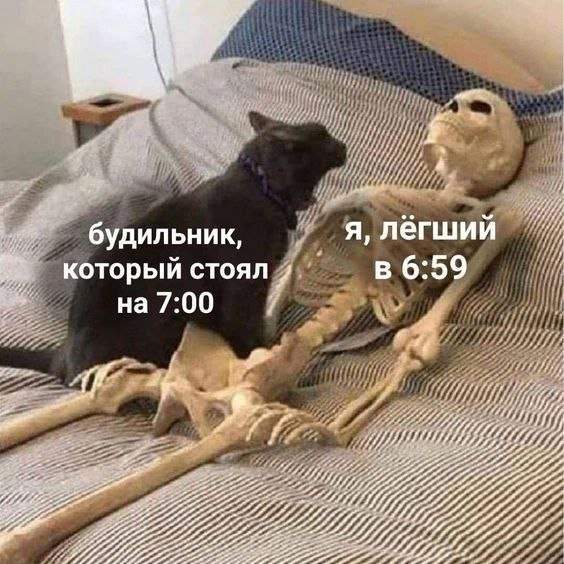 Лучшие шутки и мемы из Сети - 19.08.2025 Лучшие шутки и мемы из Сети - 19.08.2025
