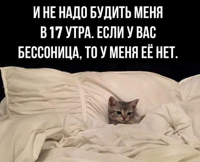 Лучшие шутки и мемы из Сети - 19.08.2025 Лучшие шутки и мемы из Сети - 19.08.2025