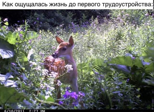 Лучшие шутки и мемы из Сети - 19.08.2025 Лучшие шутки и мемы из Сети - 19.08.2025