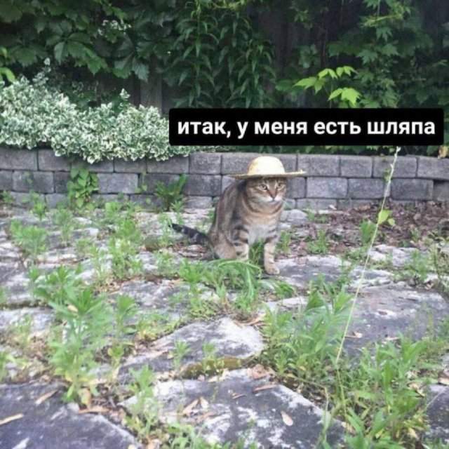 Смешные мемы - 20.08.2025 Смешные мемы - 20.08.2025