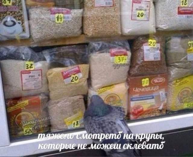 Смешные мемы - 20.08.2025 Смешные мемы - 20.08.2025