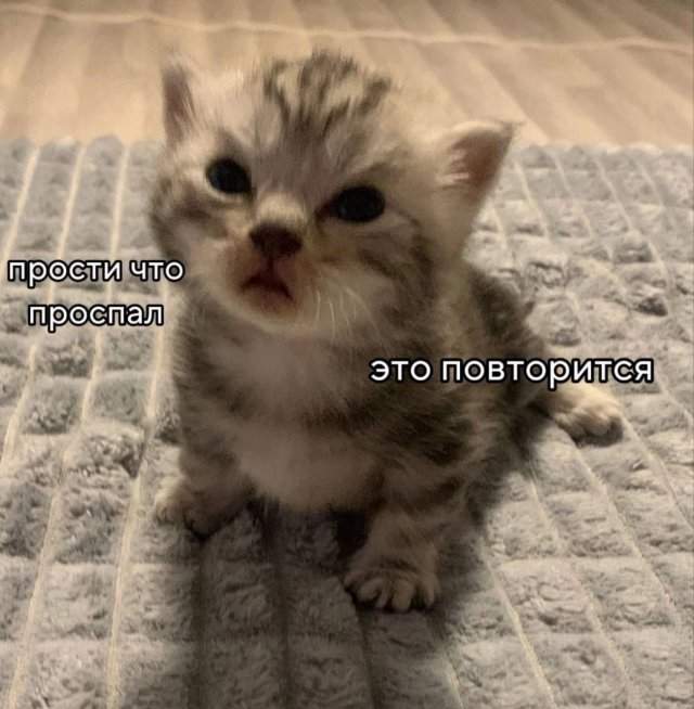Смешные картинки - 20.08.2025 Смешные картинки - 20.08.2025