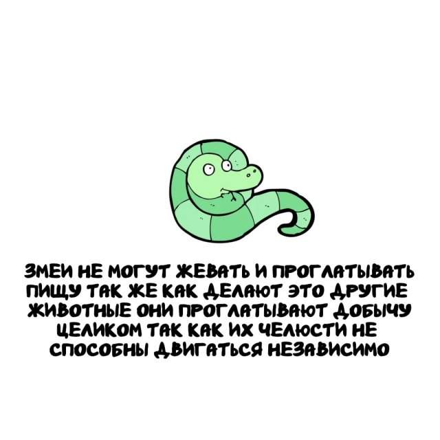 Интересные факты на все случаи жизни
