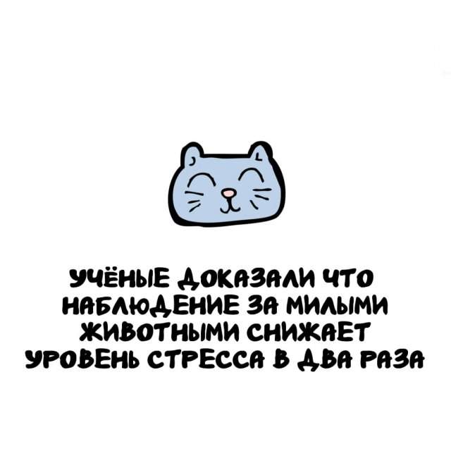 Интересные факты на все случаи жизни Интересные факты на все случаи жизни