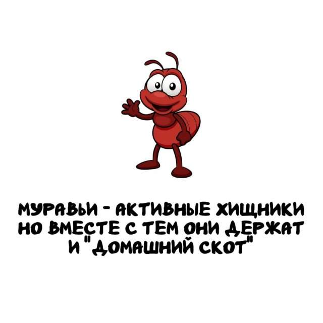 Интересные факты на все случаи жизни Интересные факты на все случаи жизни