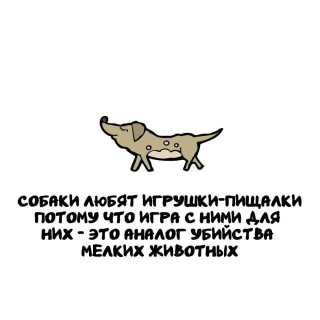 Интересные факты на все случаи жизни Интересные факты на все случаи жизни