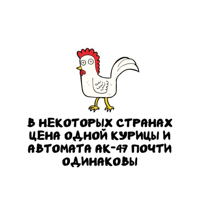 Интересные факты на все случаи жизни Интересные факты на все случаи жизни