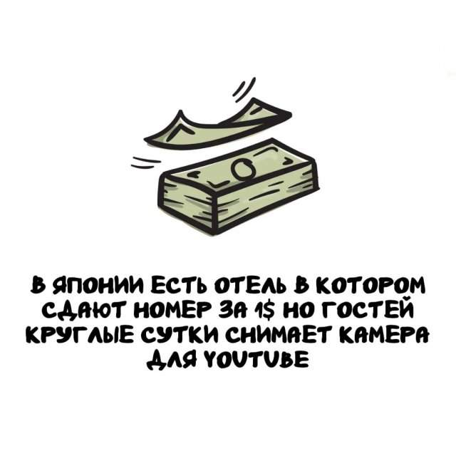 Интересные факты на все случаи жизни Интересные факты на все случаи жизни