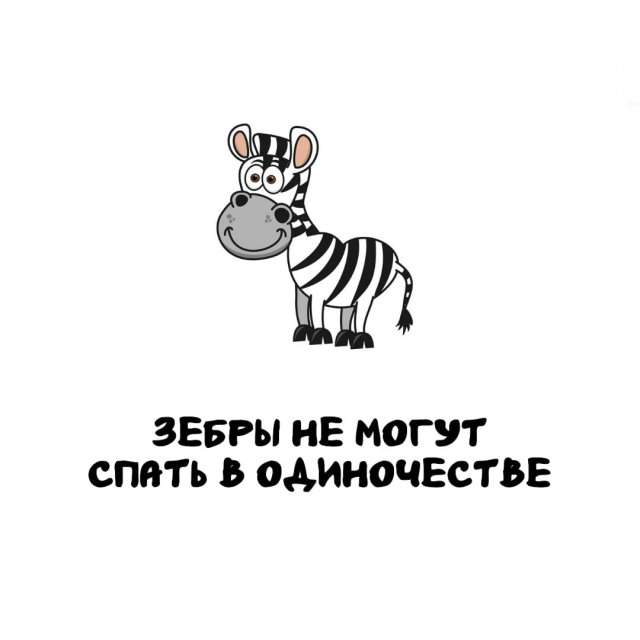 Интересные факты на все случаи жизни Интересные факты на все случаи жизни