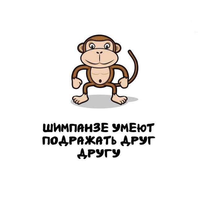 Интересные факты на все случаи жизни Интересные факты на все случаи жизни