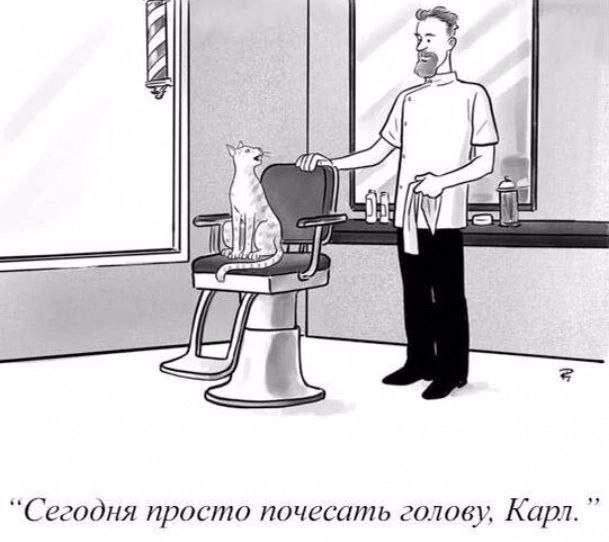 Смешные картинки - 22.08.2025 Смешные картинки - 22.08.2025