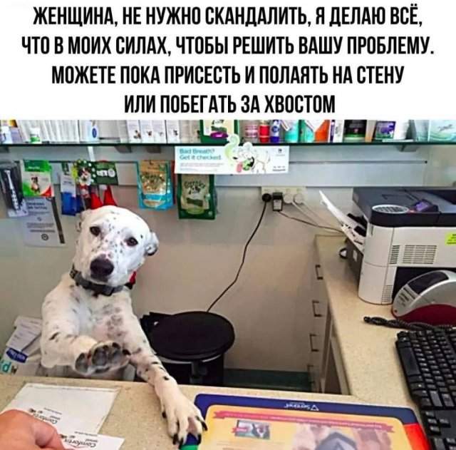 Смешные картинки - 22.08.2025 Смешные картинки - 22.08.2025