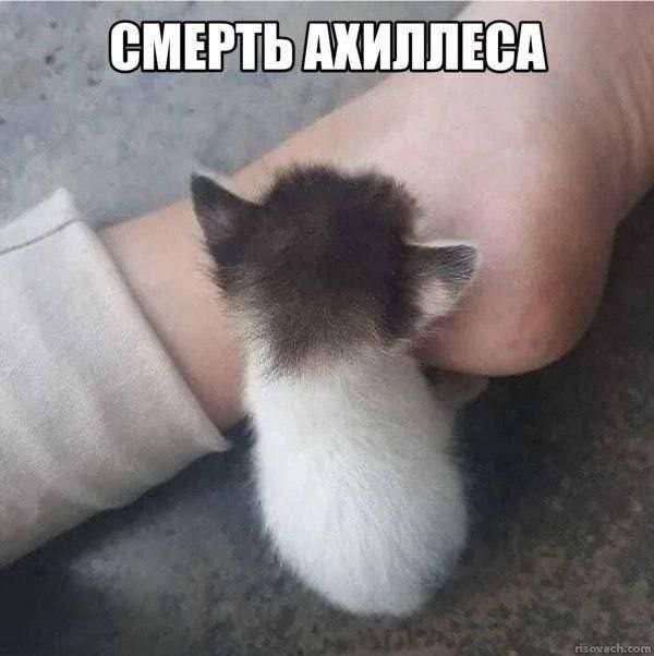 Смешные картинки - 22.08.2025 Смешные картинки - 22.08.2025