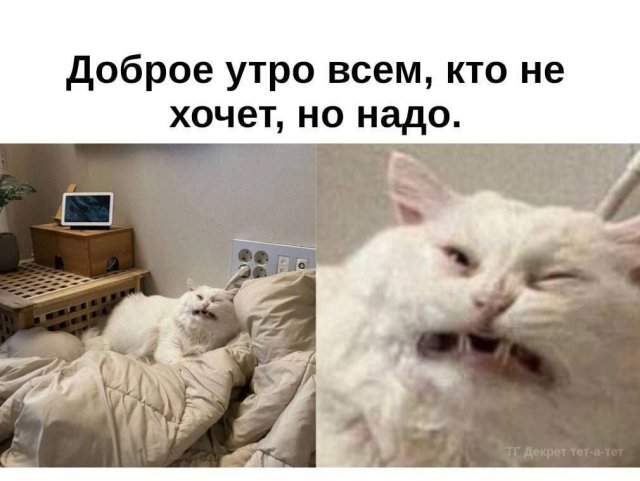 Смешные картинки - 22.08.2025 Смешные картинки - 22.08.2025