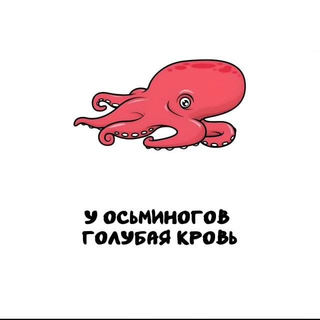Интересные факты на все случаи жизни Интересные факты на все случаи жизни