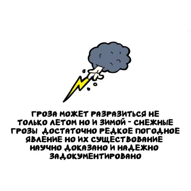 Интересные факты на все случаи жизни Интересные факты на все случаи жизни