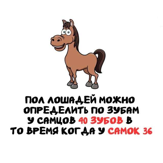 Интересные факты на все случаи жизни Интересные факты на все случаи жизни
