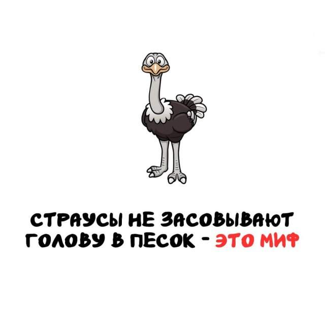 Интересные факты на все случаи жизни Интересные факты на все случаи жизни