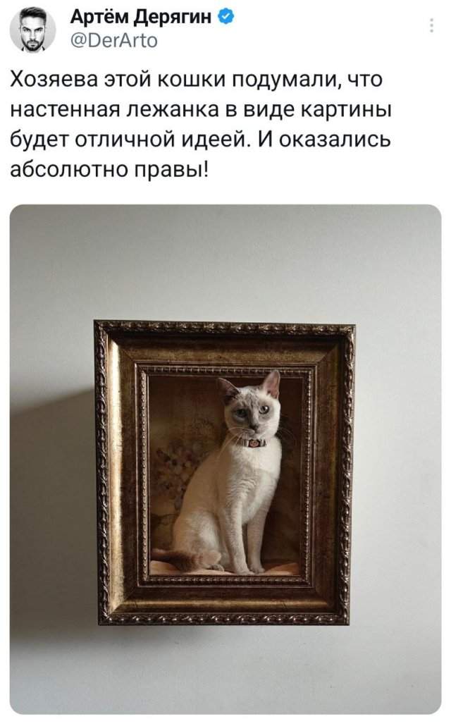 Подборка забавных твитов обо всем Подборка забавных твитов обо всем