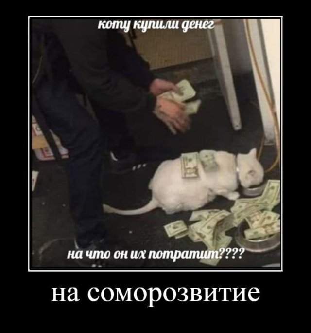 Демотиваторы - 22.08.2025 Демотиваторы - 22.08.2025