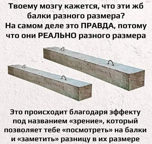 Лучшие шутки и мемы - 21.08.2025