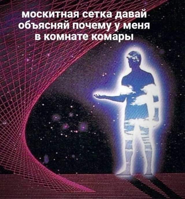 Лучшие шутки и мемы - 21.08.2025 Лучшие шутки и мемы - 21.08.2025
